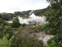Waharoa geothermal pools